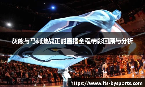 开云体育官网