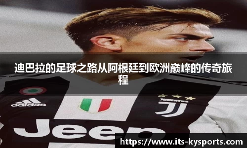 开云体育入口